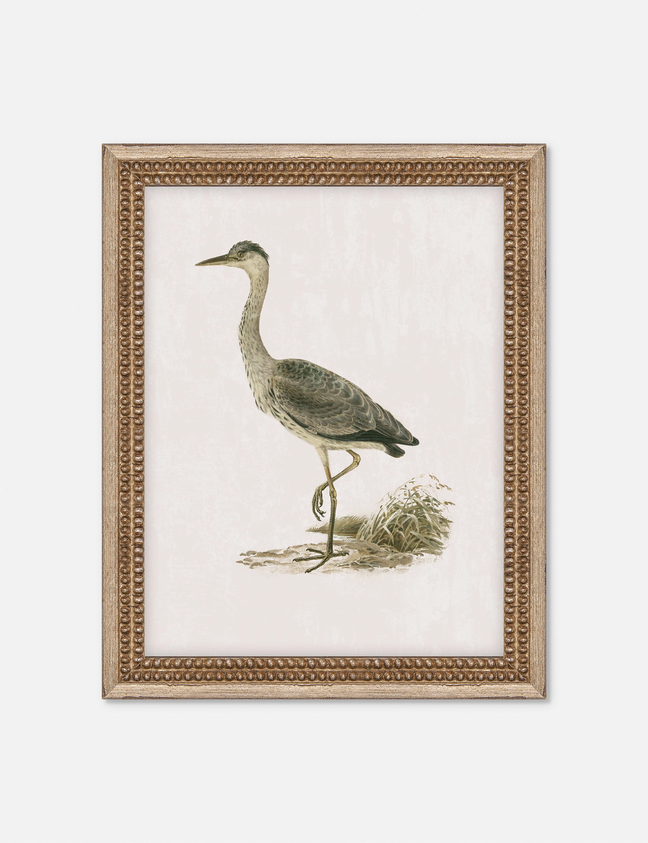 Heron Friend II Wall Art by Old World wall art,canvas print,home wall decor