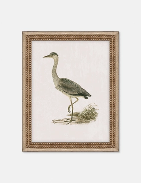 Heron Friend II Wall Art by Old World wall art,canvas print,home wall decor