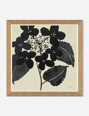 Hydrangea Wall Art by Susan Hable wall art,canvas print,home wall decor