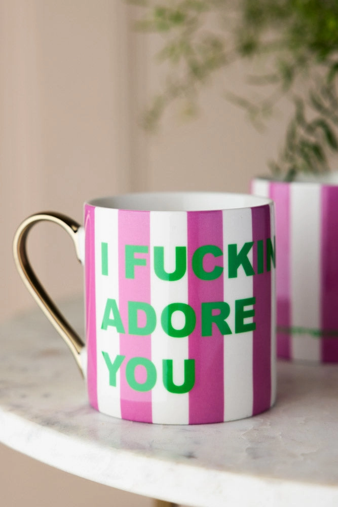 I Fucking Adore You Stripe Mug kitchenware,kitchen essentials,cooking tools