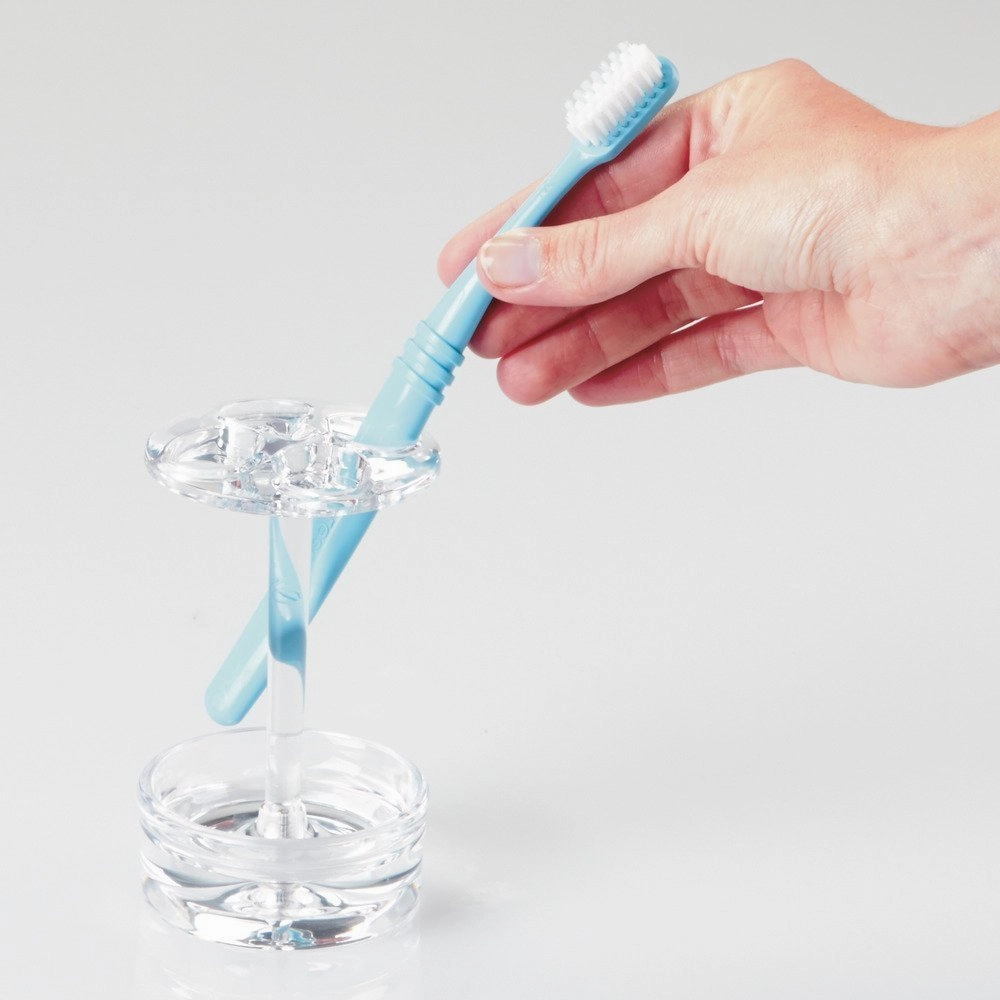 Interdesign Eva Toothbrush Stand