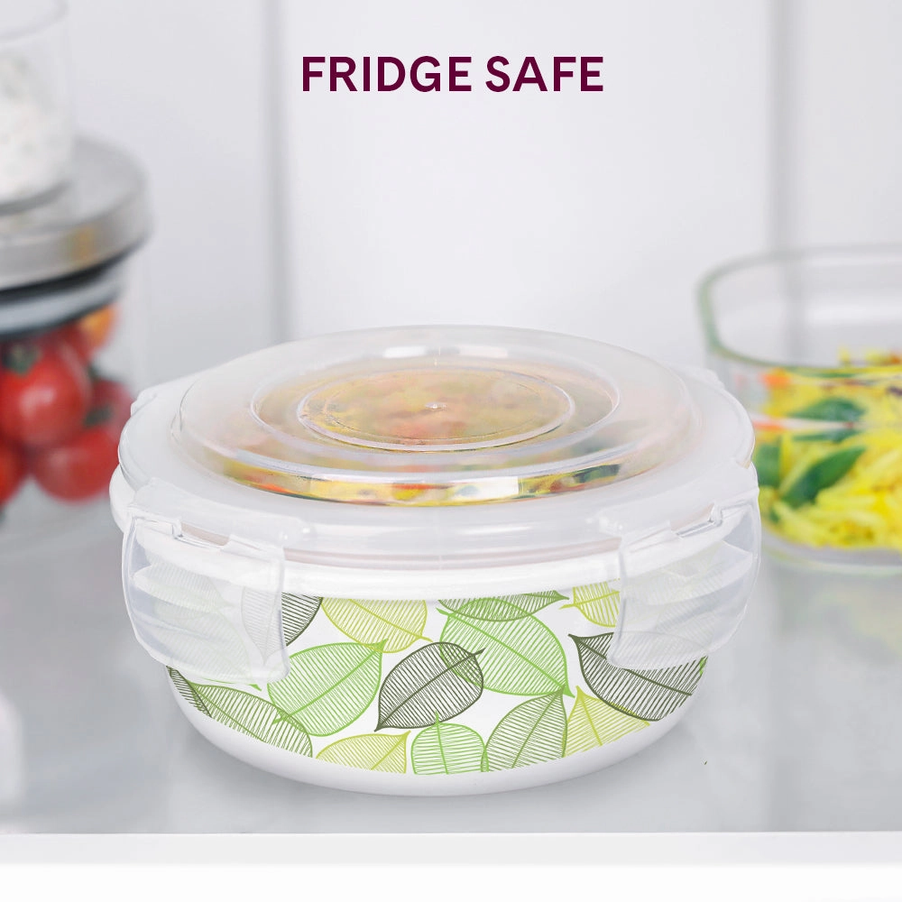 Larah By Borosil Noma Klip N Store Storage Container
