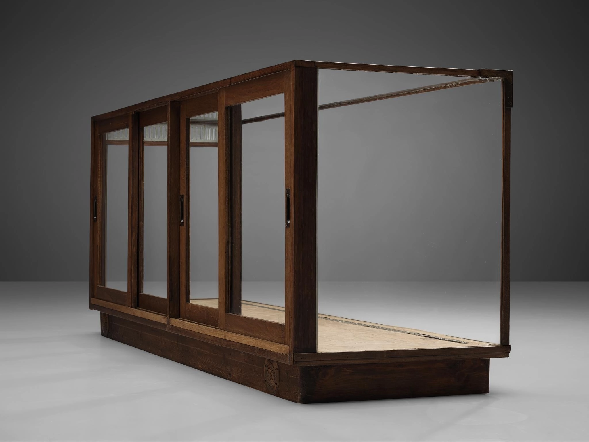 Large Art Deco Showcase in Stained Oak and Glass
