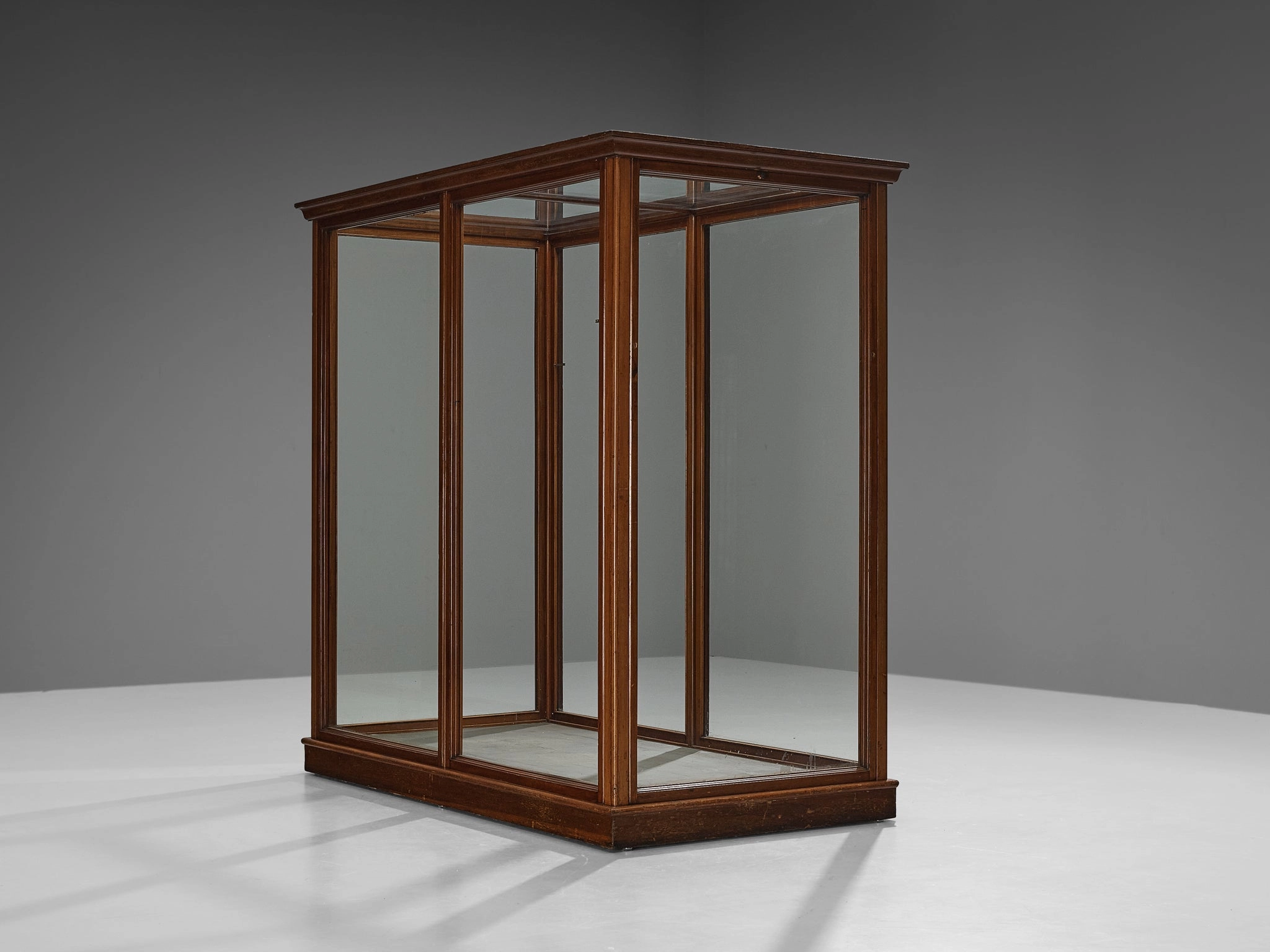 Large Danish Showcase in Mahogany and Glass storage cabinet,organizer,furniture storage