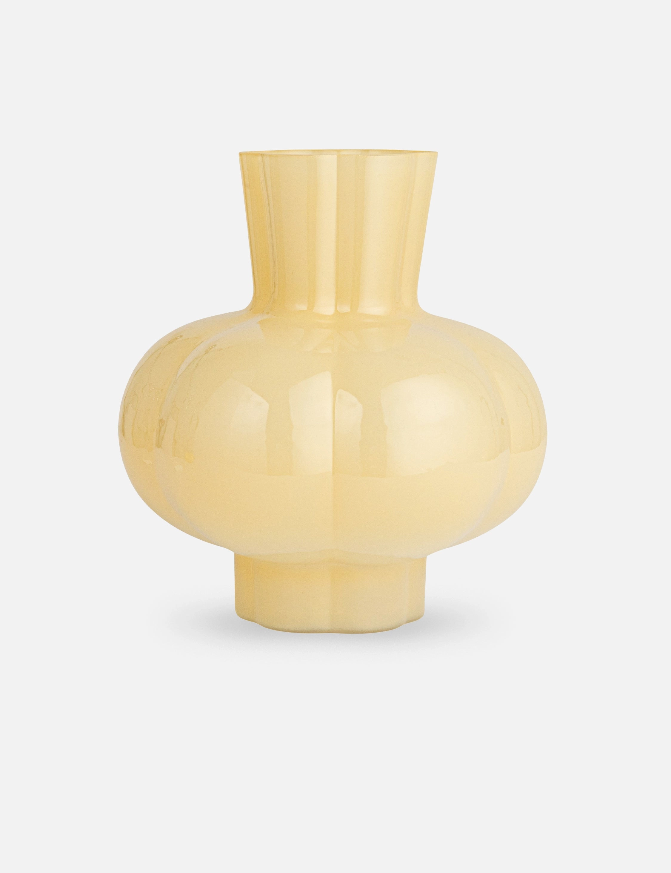 Moya Vase home decor,home accents,interior accessories