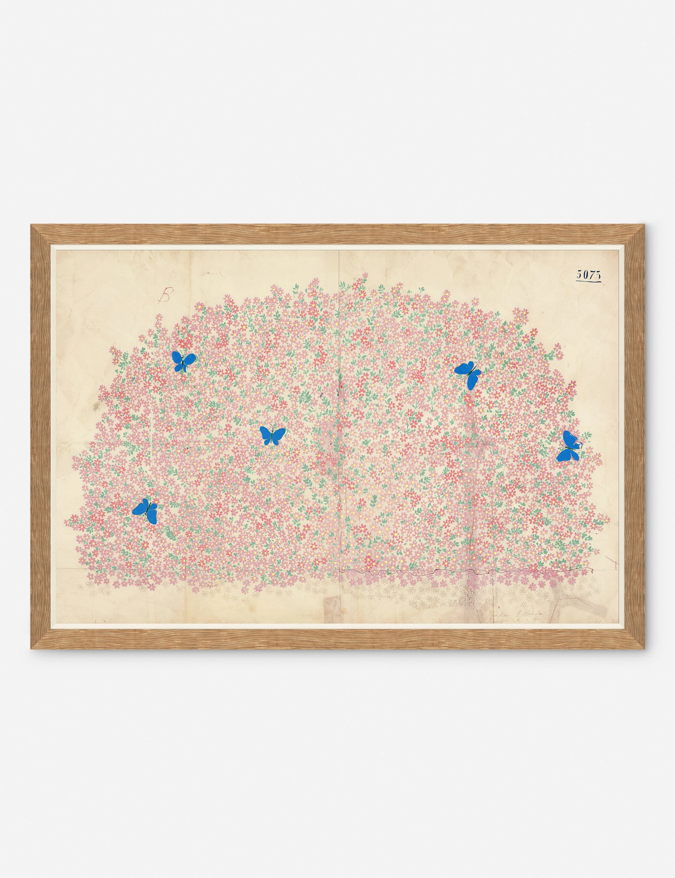 Myosotis Print by Paule Marrot