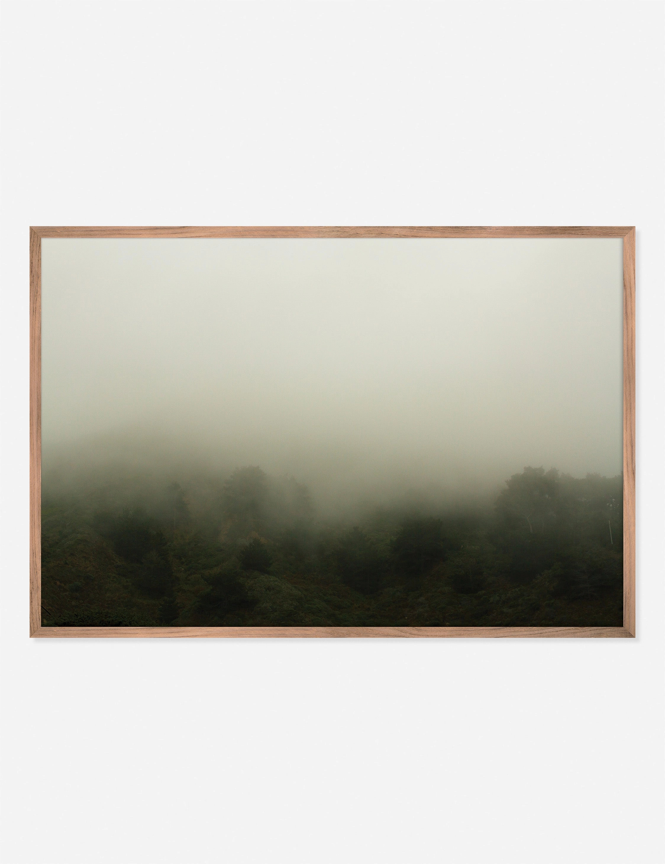 Norcal 10 Photography Print by Flavia Cureteu wall art,canvas print,home wall decor