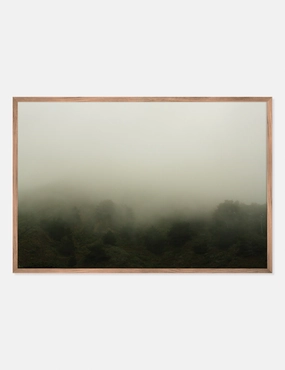 Norcal 10 Photography Print by Flavia Cureteu wall art,canvas print,home wall decor