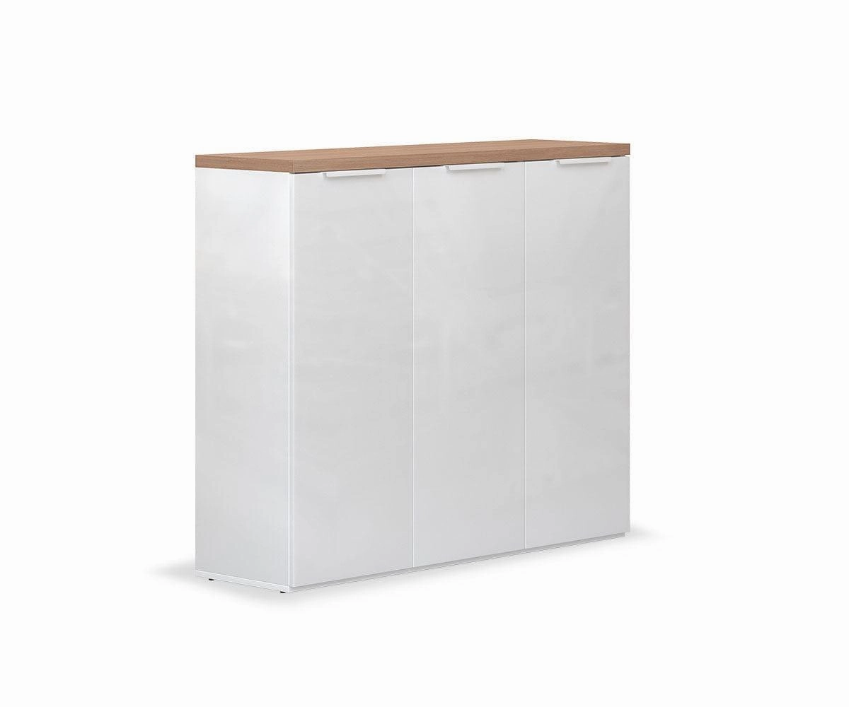 Oakley 3-Door Shoe Cabinet