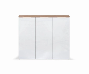 Oakley 3-Door Shoe Cabinet sofa,couch,living room furniture