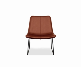 Oken Lounge Chair sofa,couch,living room furniture
