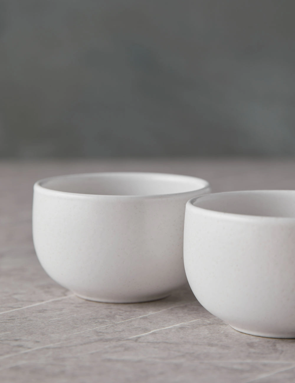 Pacifica Ramekins (Set of 6) by Casafina
