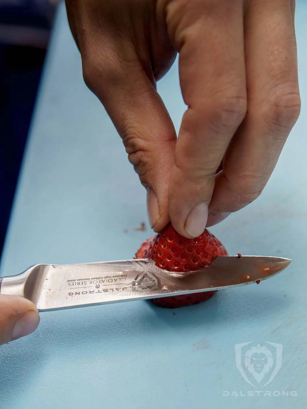 Paring Knife 3.5" | Gladiator Series | NSF Certified | Dalstrong 