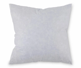 Pillow Insert 20 x 20 sofa,couch,living room furniture