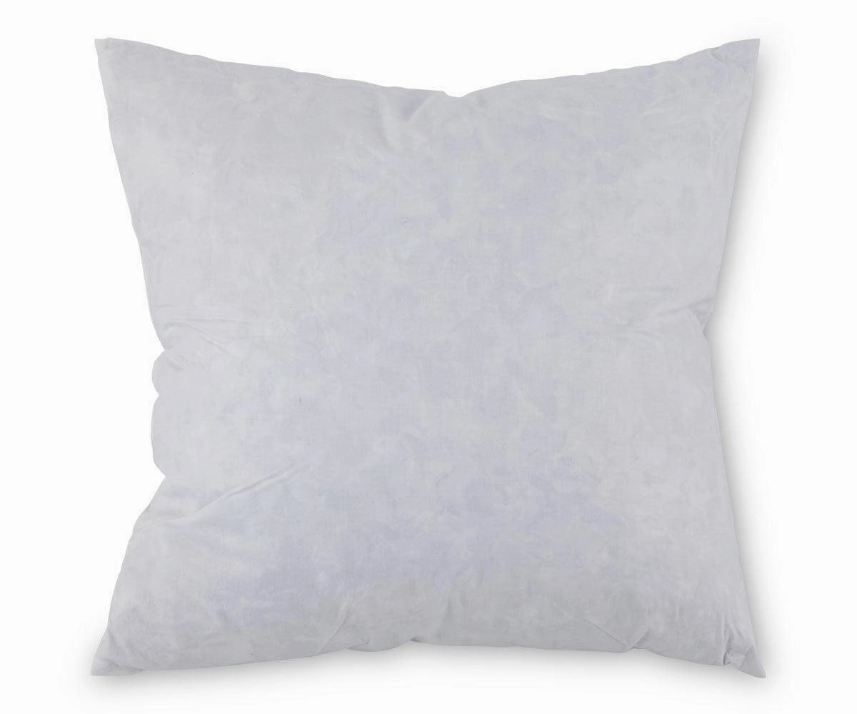 Pillow Insert 20 x 20 sofa,couch,living room furniture