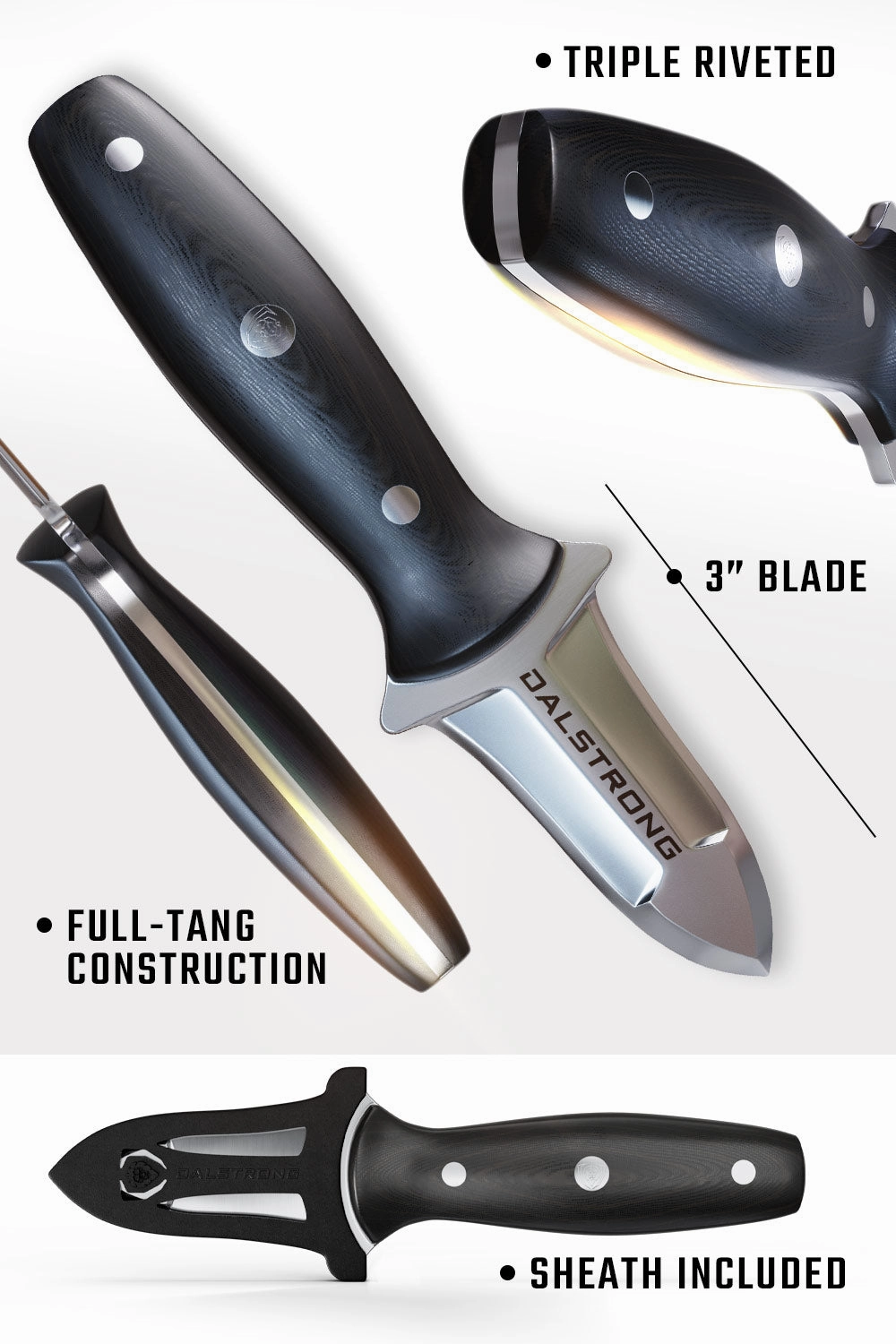 Professional Shellfish & Oyster Shucking Knife 3" | Gladiator Series | NSF Certified | Dalstrong 