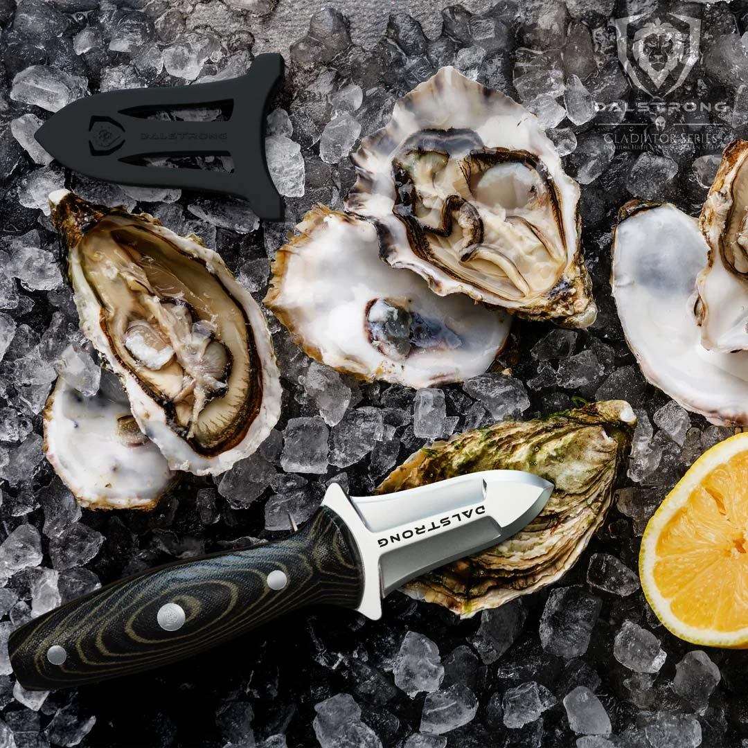 Professional Shellfish & Oyster Shucking Knife 3" | Gladiator Series | NSF Certified | Dalstrong 