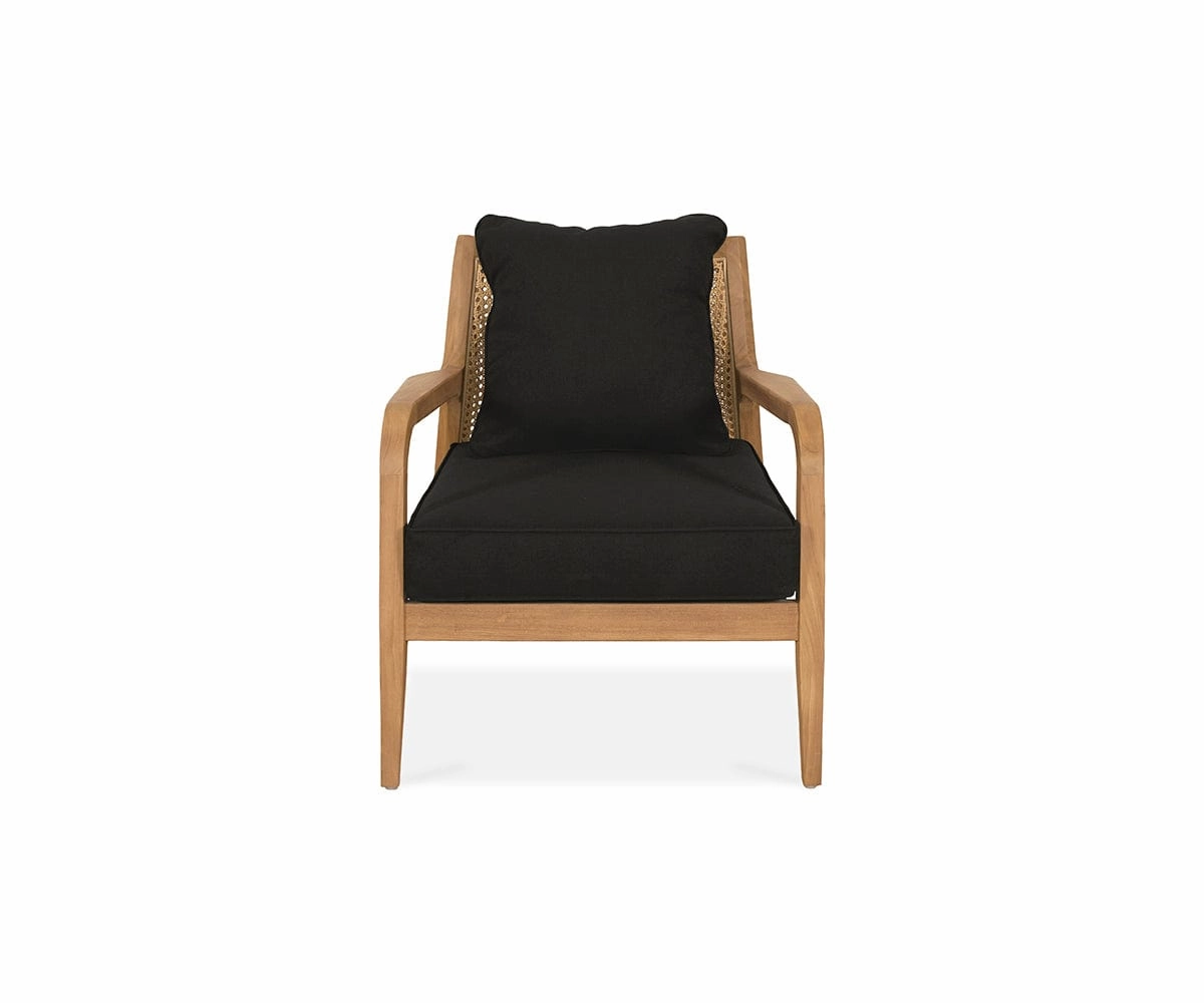 Rikka Accent Chair sofa,couch,living room furniture