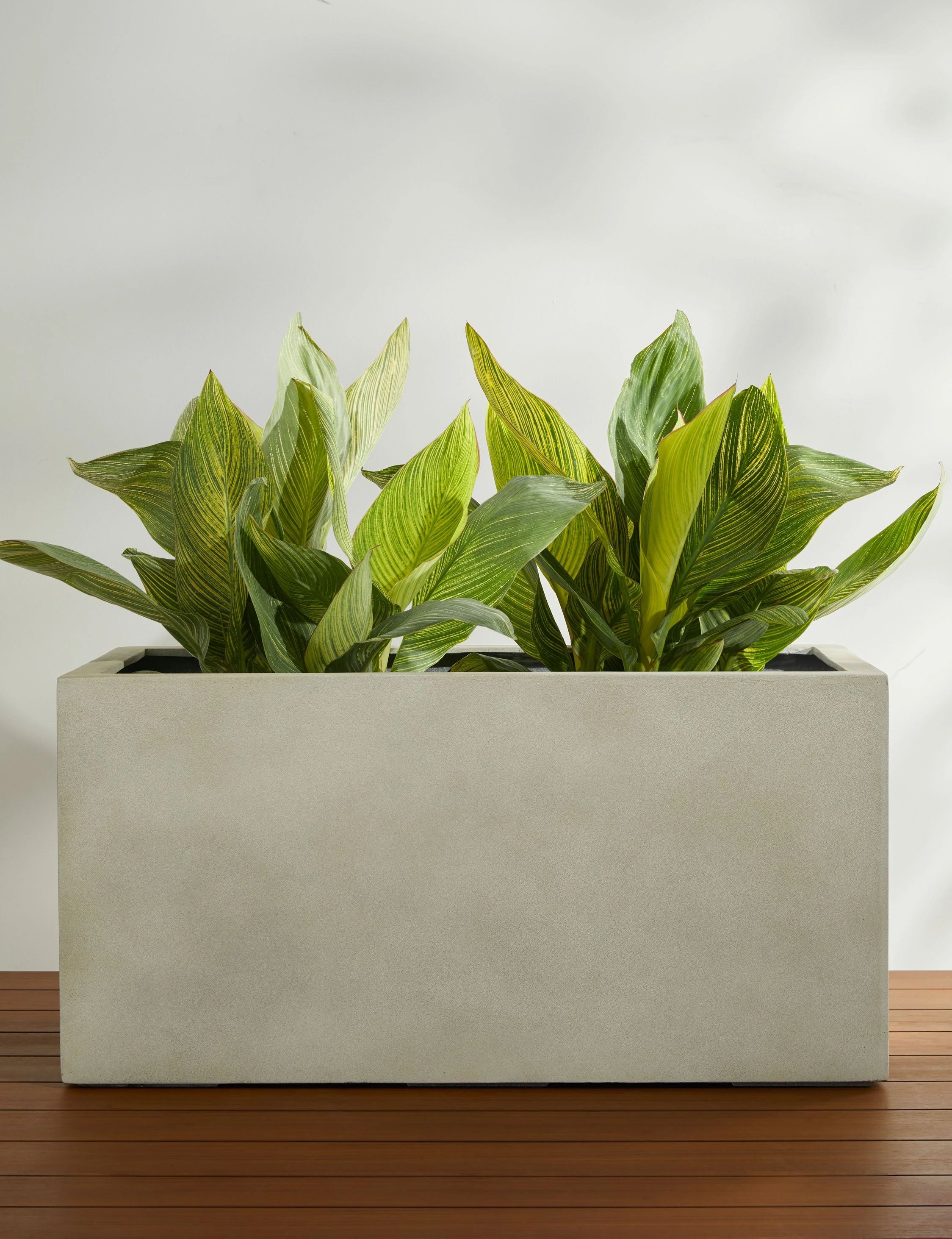 Sandal Planter by Campania International home decor,home accents,interior accessories