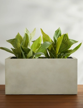 Sandal Planter by Campania International home decor,home accents,interior accessories
