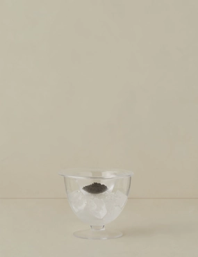 Serve Caviar Set by LSA International home decor,home accents,interior accessories