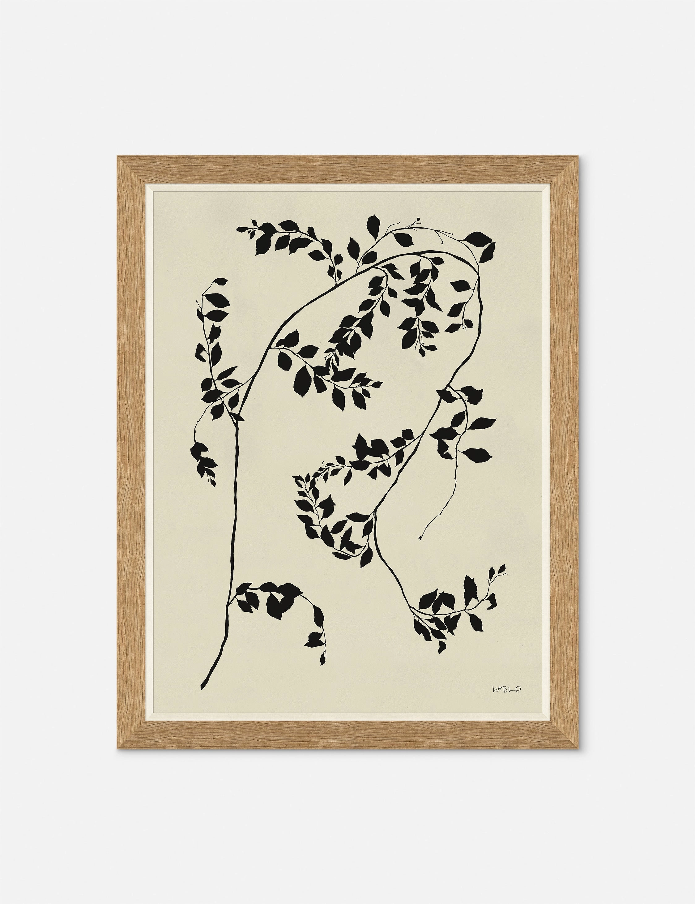 Smylax Wall Art by Susan Hable wall art,canvas print,home wall decor
