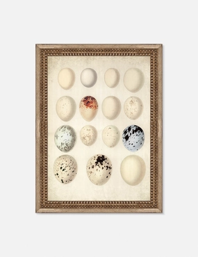 Speckled Egg II Wall Art by Helen Parker wall art,canvas print,home wall decor