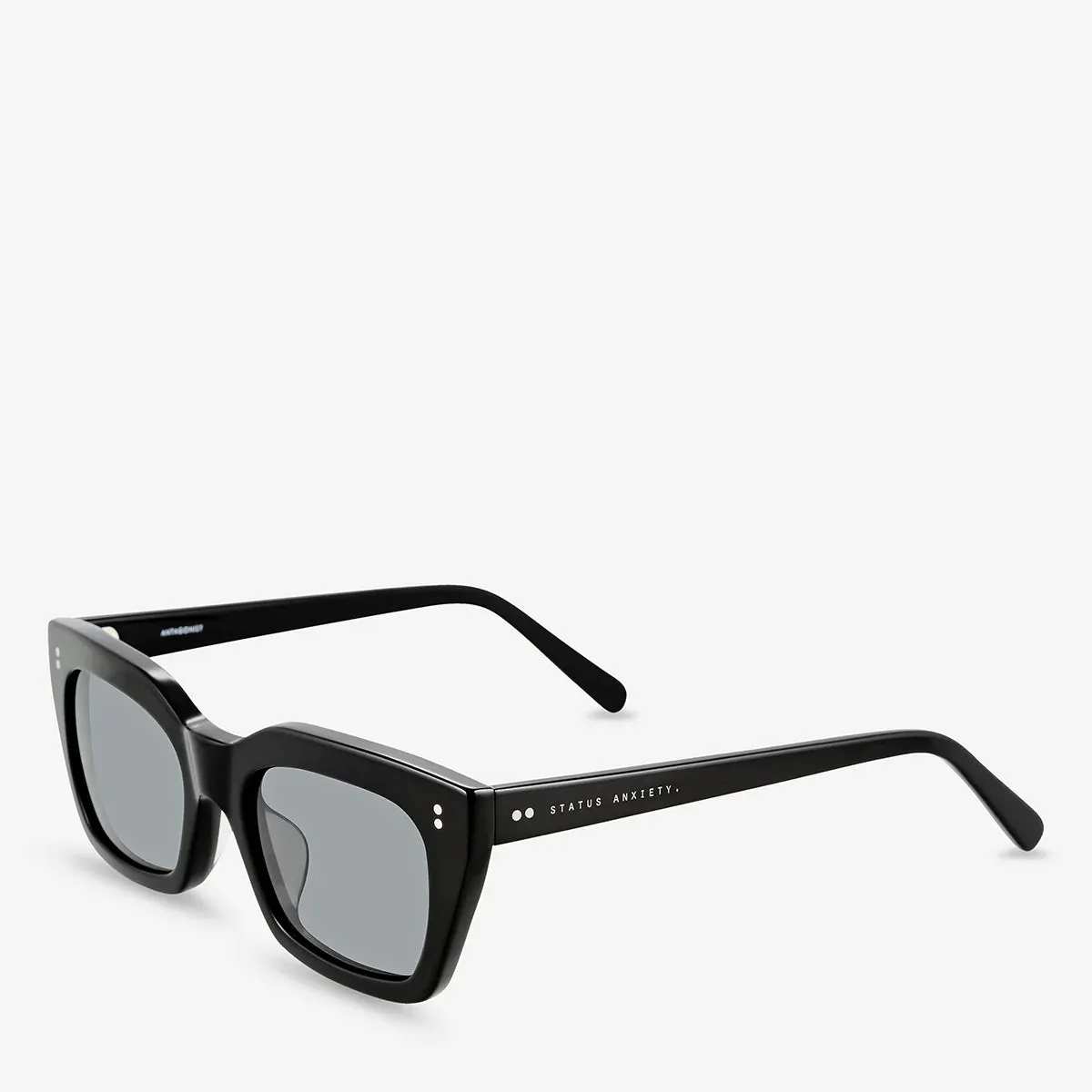 Status Anxiety Antagonist Black Sunglasses_Status-Anxiety