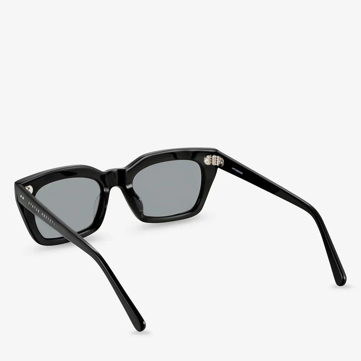 Status Anxiety Antagonist Black Sunglasses_Status-Anxiety
