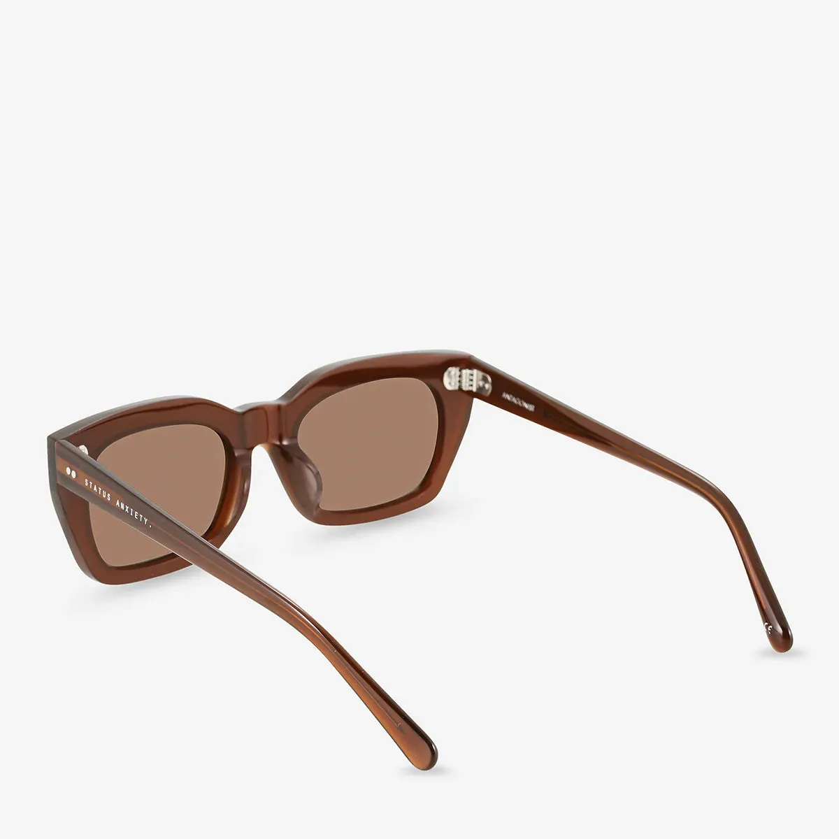Status Anxiety Antagonist Brown Sunglasses_Status-Anxiety