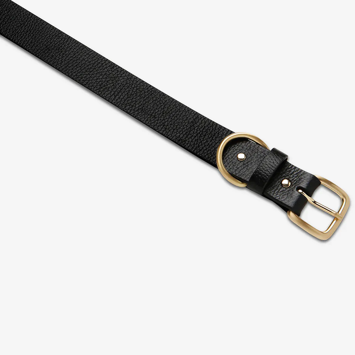 Status Anxiety Disarm Black/Gold Belt Belts_Status-Anxiety