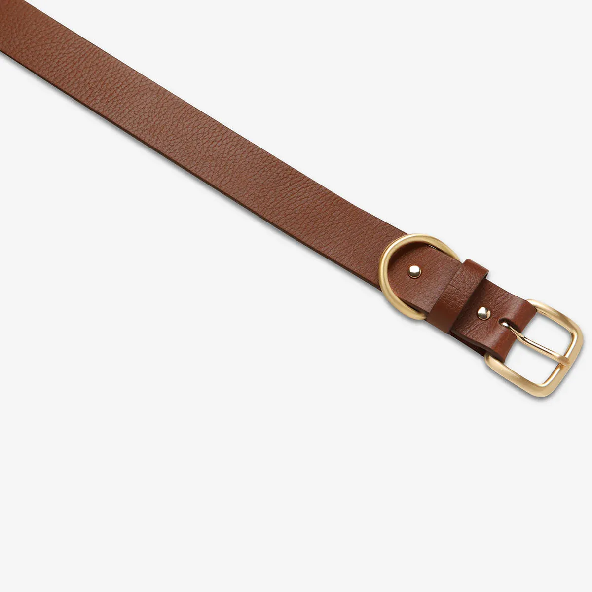 Status Anxiety Disarm Tan/Gold Belt Belts_Status-Anxiety