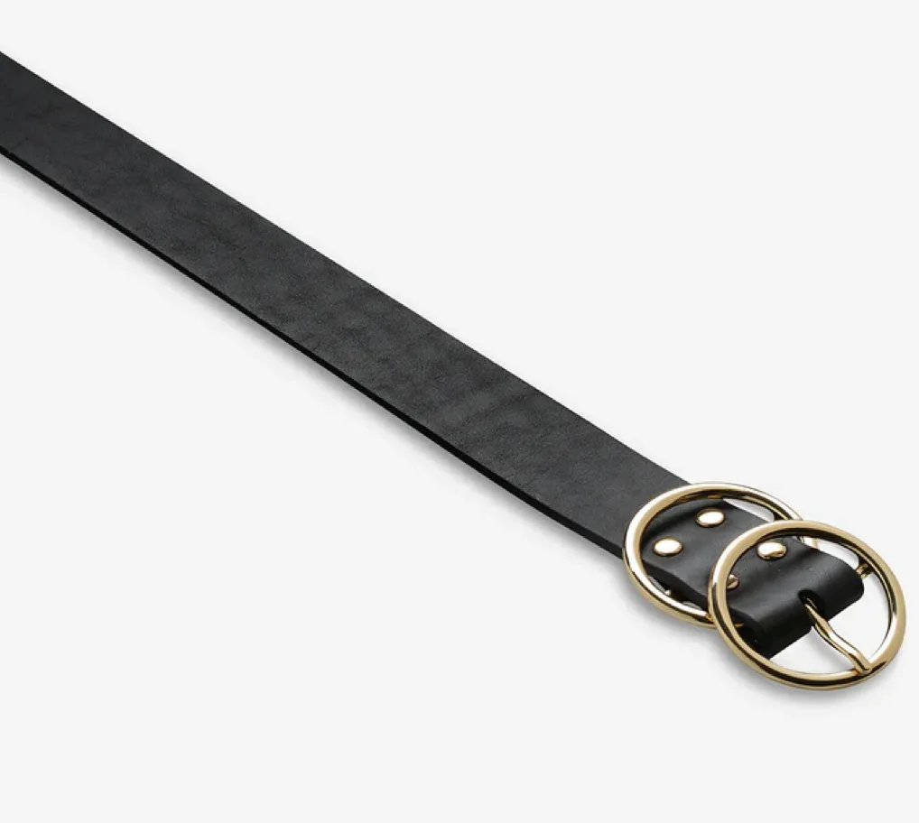 Status Anxiety Mislaid Black/Gold Belts_Status-Anxiety
