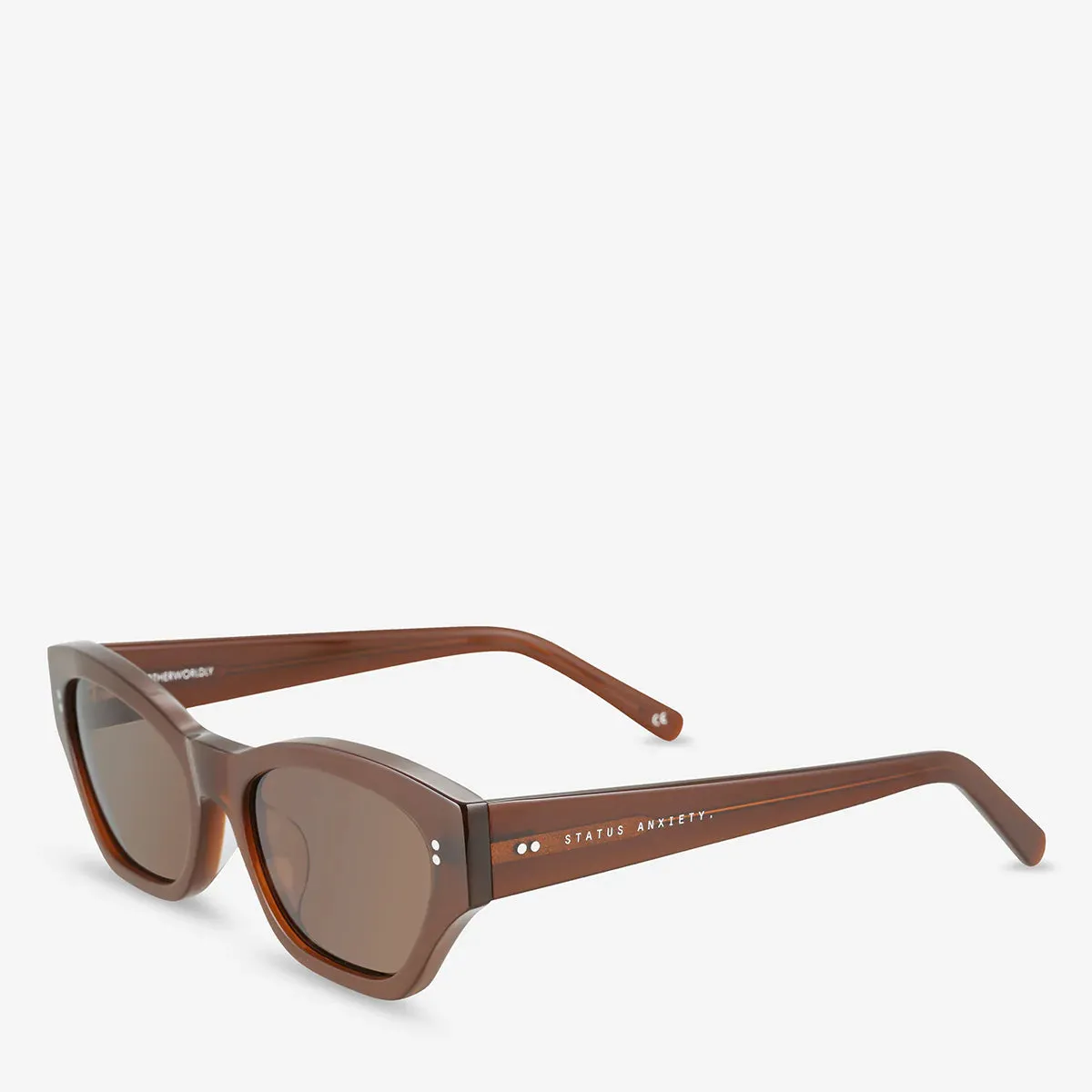 Status Anxiety Otherworldly Brown Sunglasses_Status-Anxiety