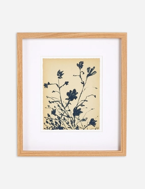 Summer Weed Wall Art by Shaina Page wall art,canvas print,home wall decor