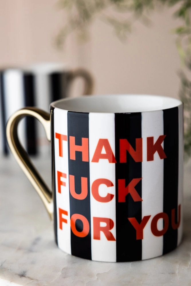 Thank Fuck For You Stripe Mug