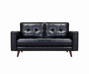 Turner Leather Loveseat sofa,couch,living room furniture