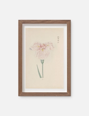 Vintage Japanese Iris No. 17 Wall Art by Miyoshi Manabu wall art,canvas print,home wall decor