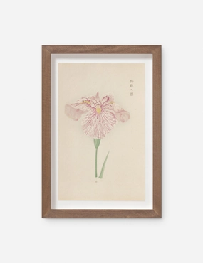Vintage Japanese Iris No. 20 Wall Art by Miyoshi Manabu wall art,canvas print,home wall decor