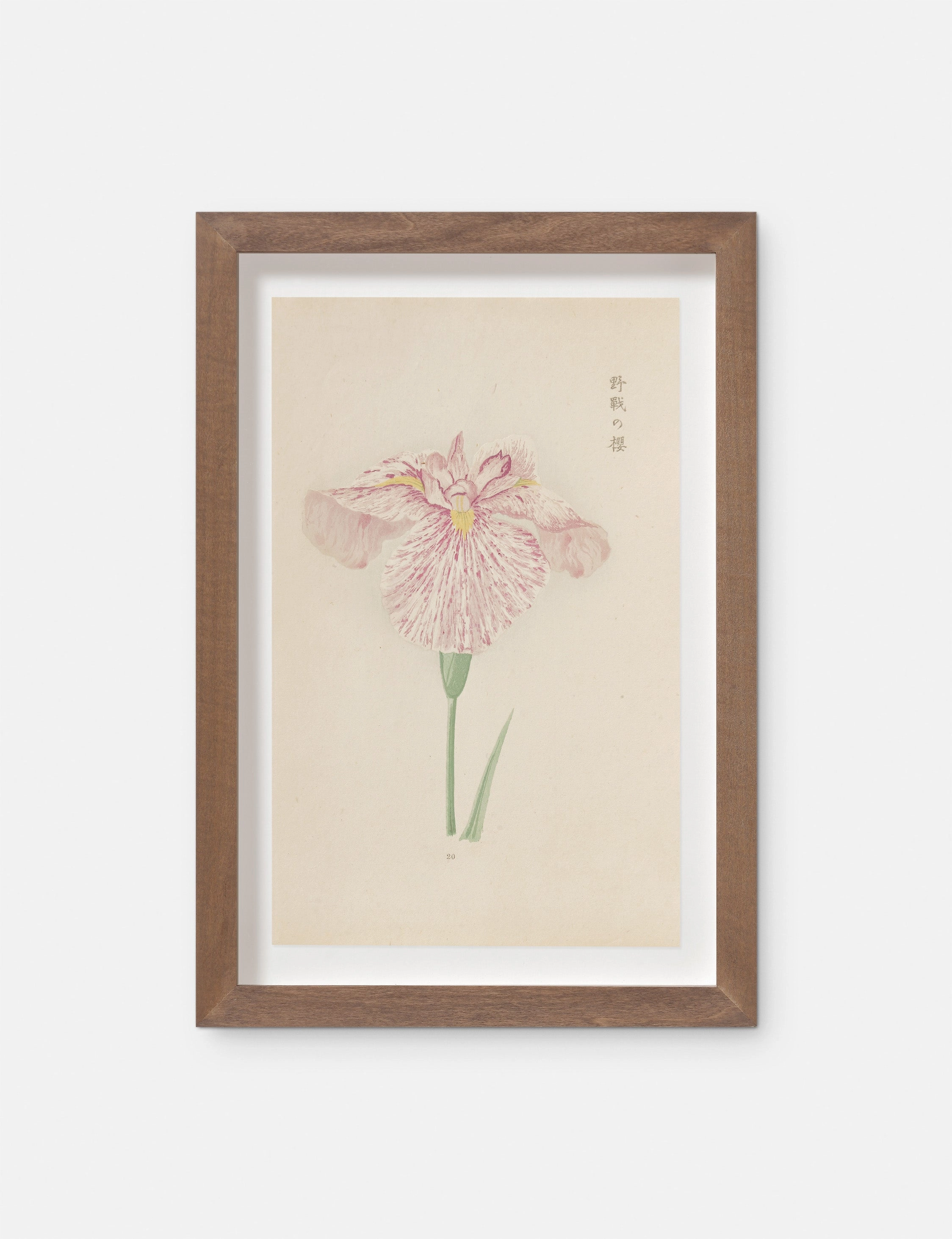 Vintage Japanese Iris No. 20 Wall Art by Miyoshi Manabu wall art,canvas print,home wall decor