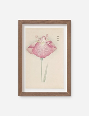 Vintage Japanese Iris No. 23 Wall Art by Miyoshi Manabu wall art,canvas print,home wall decor