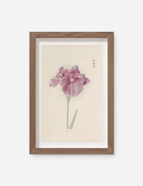 Vintage Japanese Iris No. 24 Wall Art by Miyoshi Manabu wall art,canvas print,home wall decor