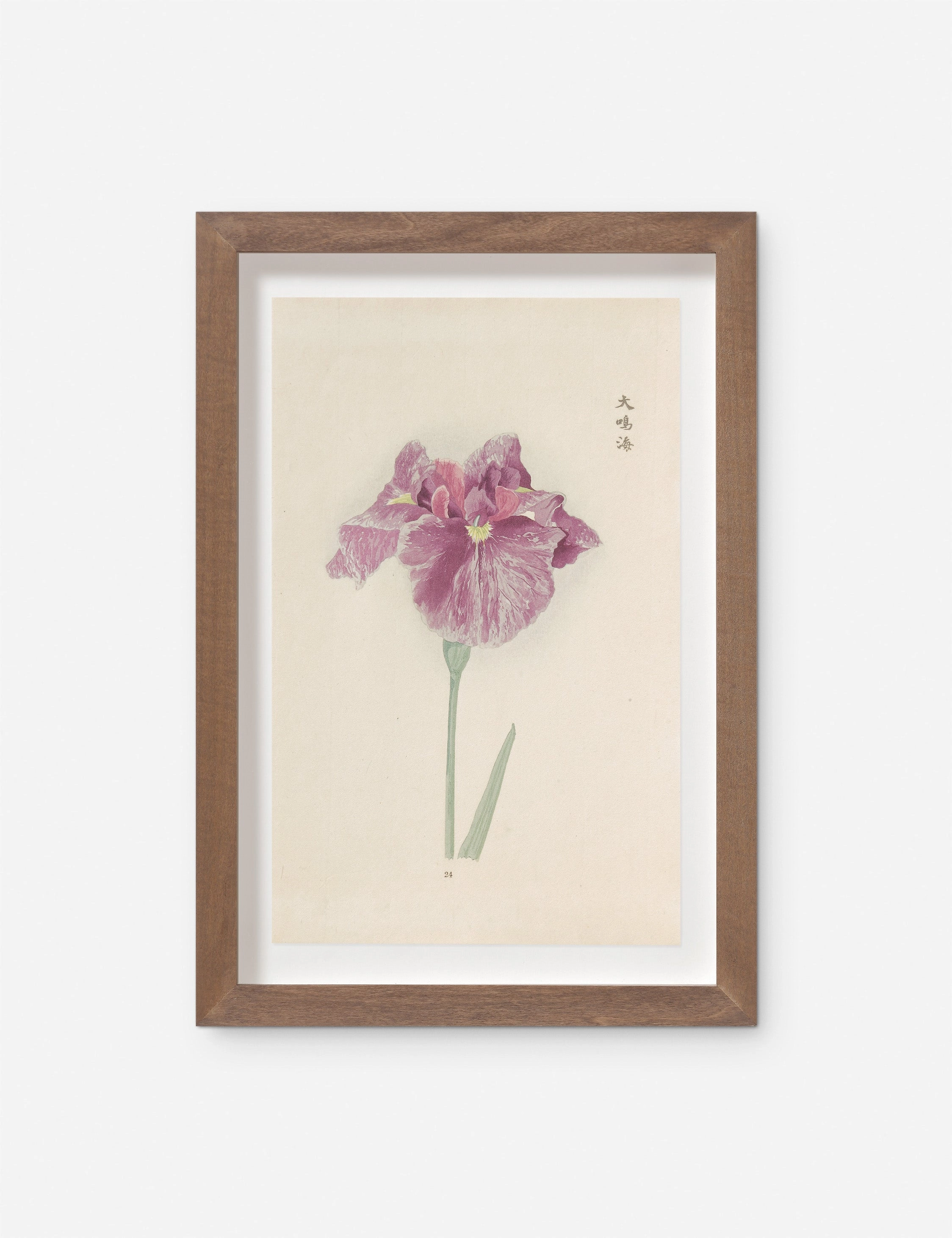 Vintage Japanese Iris No. 24 Wall Art by Miyoshi Manabu wall art,canvas print,home wall decor