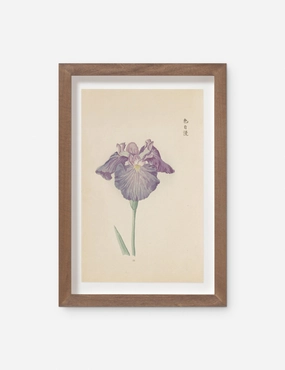Vintage Japanese Iris No. 29 Wall Art by Miyoshi Manabu wall art,canvas print,home wall decor