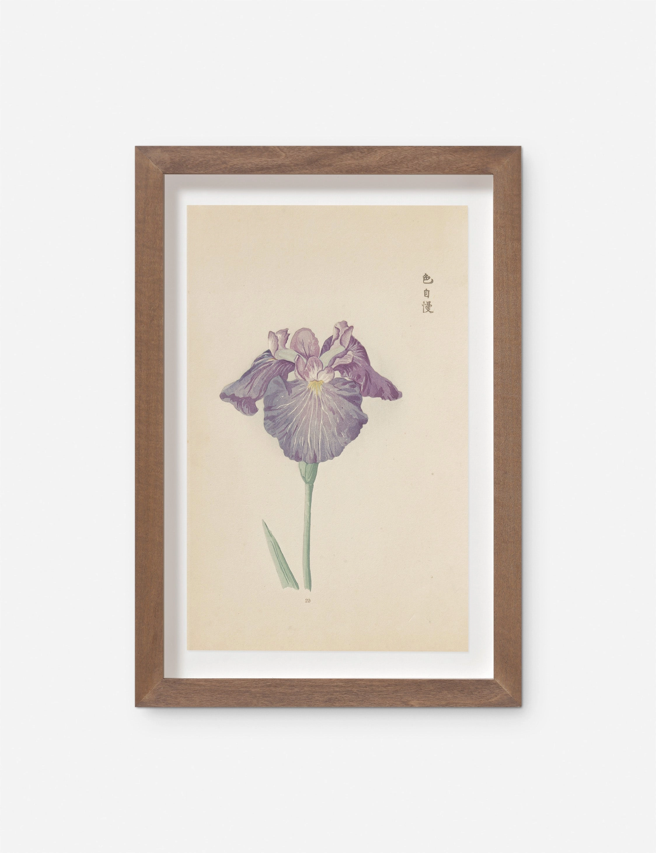 Vintage Japanese Iris No. 29 Wall Art by Miyoshi Manabu wall art,canvas print,home wall decor