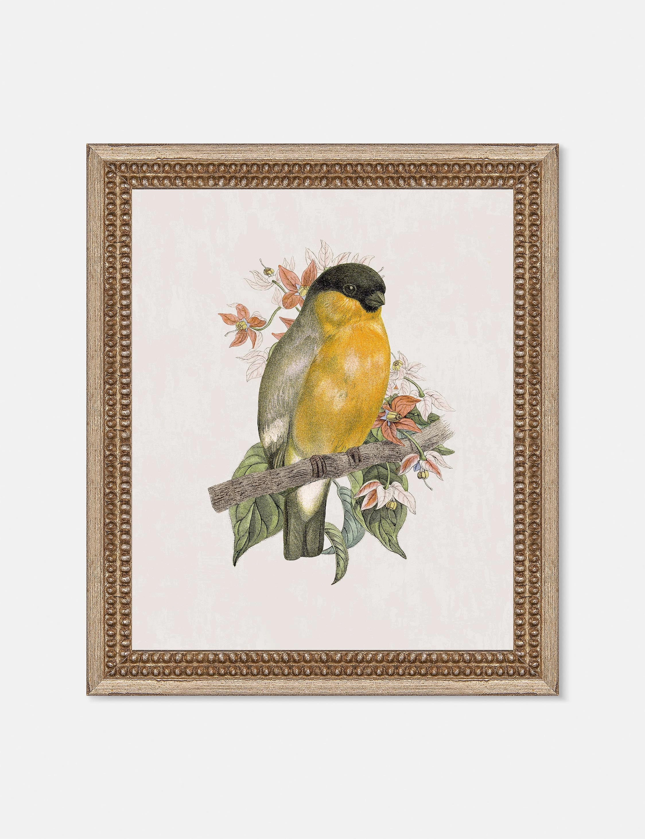 Wings of Wonder Wall Art by Lilly Kinsey wall art,canvas print,home wall decor